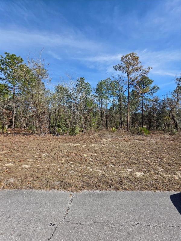 Build your dream home in Marion Oaks,
