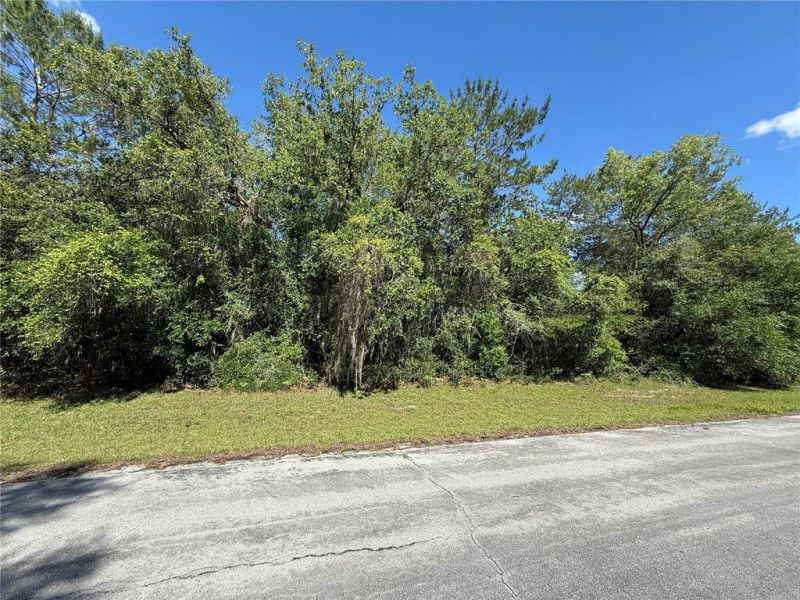 Build your dream home on this beautiful .